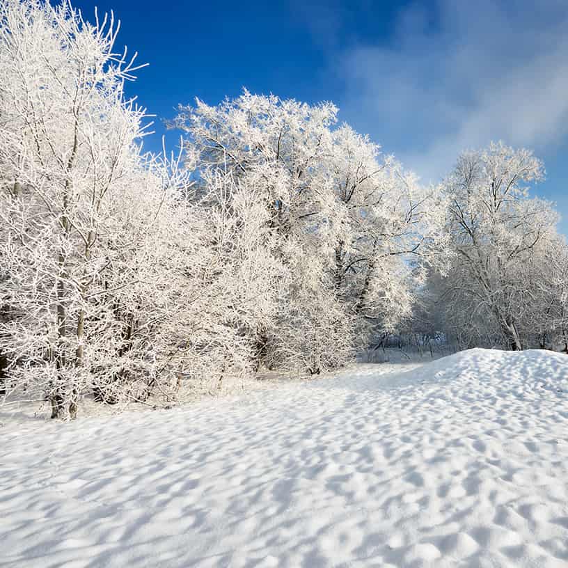 1698394255692875.jpg 未標(biāo)題-4.jpg