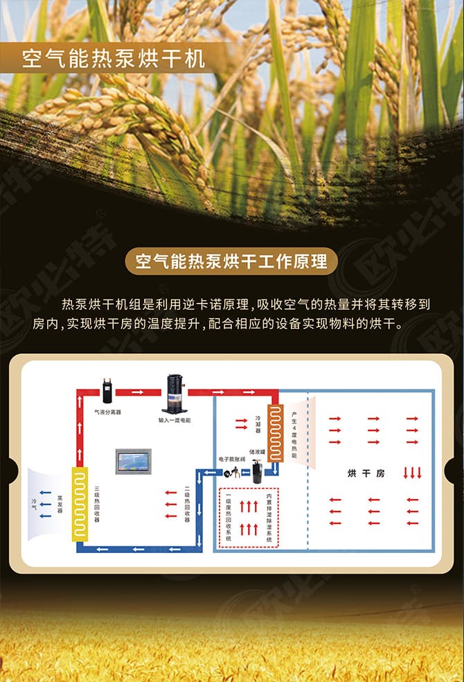 1702631941763499.jpg 烘干機(jī)折頁(yè)2.jpg